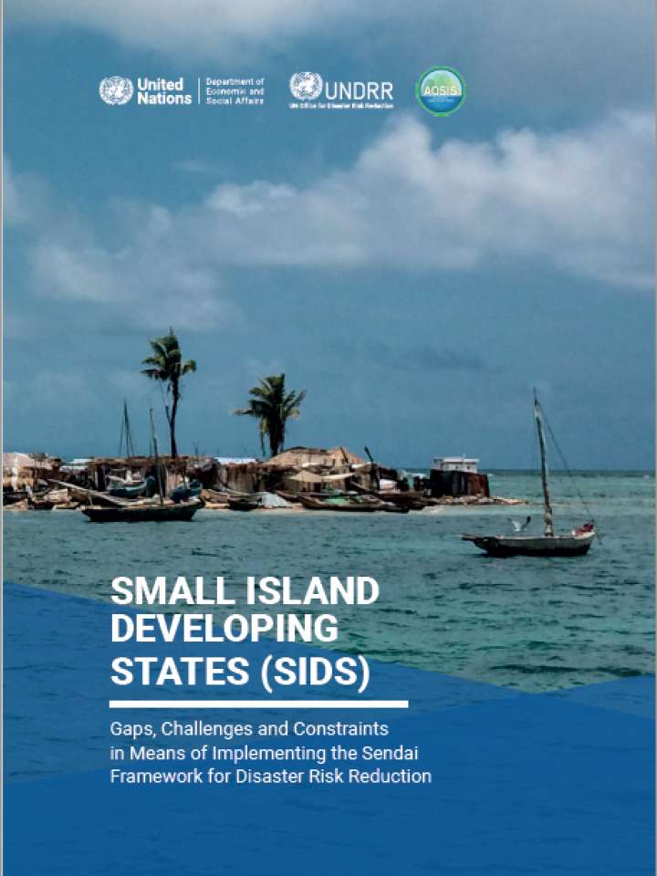 Small Island Developing States (SIDS): Gaps, challenges and constraints